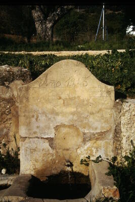 Fuente de la Casa del Pozuelo - imagen 2