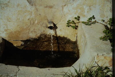 Fuente de la Casa del Pozuelo - imagen 3