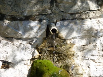 Fuente del Cerrillo Montero - imagen 3