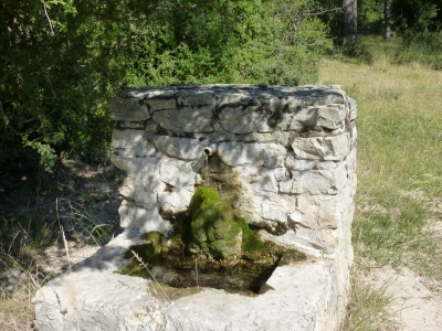 Fuente del Cerrillo Montero - imagen 4