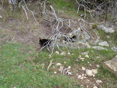 Fuente del Cerro del Toro - imagen 1