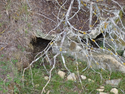 Fuente del Cerro del Toro - imagen 2