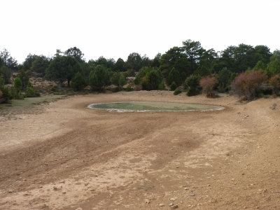 Fuente del Cerro del Toro - imagen 5