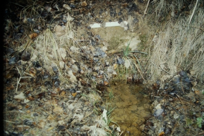 Fuente del Chantre - imagen 2