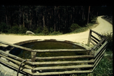 Fuente de la Cierva - imagen 3