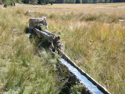 Fuente del Colmeno - imagen 1