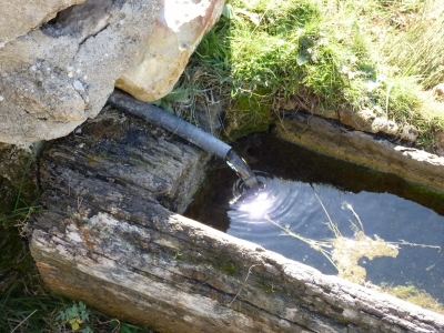 Fuente del Colmeno - imagen 2