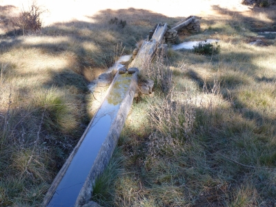 Fuente del Cubillejo del Asno - imagen 1