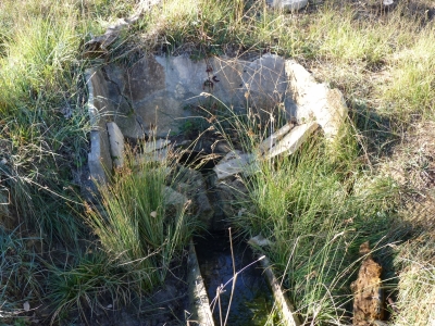 Fuente del Cubillejo del Asno - imagen 2