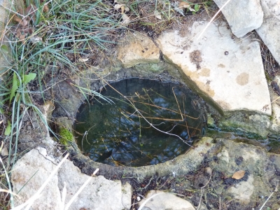 Fuente del Cubillejo del Asno - imagen 5