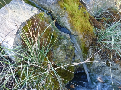 Fuente del Cubillejo del Asno - imagen 6