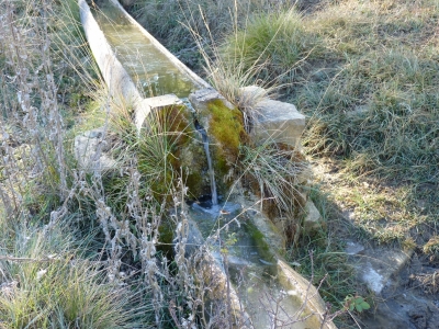 Fuente del Cubillejo del Asno - imagen 7
