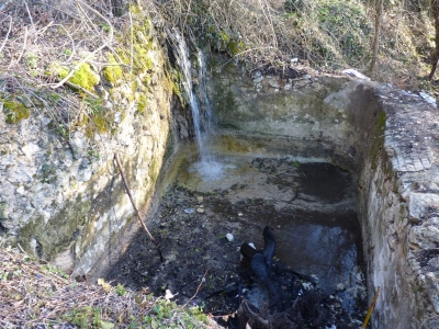 Fuente de la Cueva de la Zarza - imagen 6
