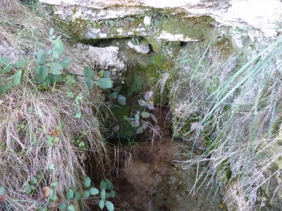 Fuente del Espino - imagen 5