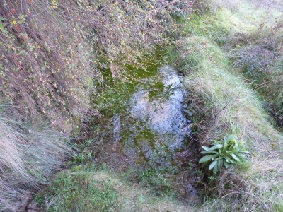 Fuente del Espino - imagen 6