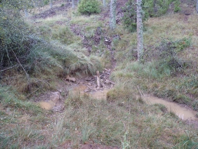 Fuente del Espino - imagen 1