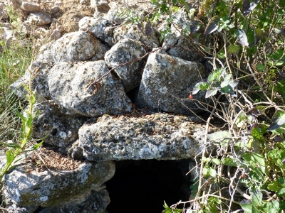 Espino, del - imagen 2
