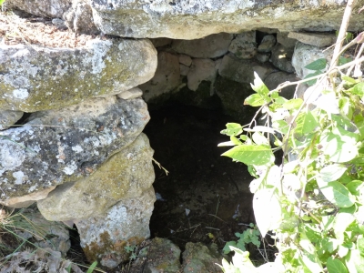 Espino, del - imagen 3