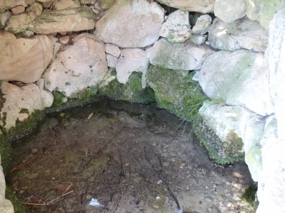Espino, del - imagen 5