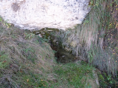 Espino, del - imagen 5