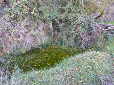 Espino, del - imagen 7