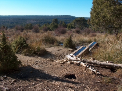 Fuente del Estanque - imagen 2