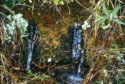 Fuente los Flautines - imagen 1
