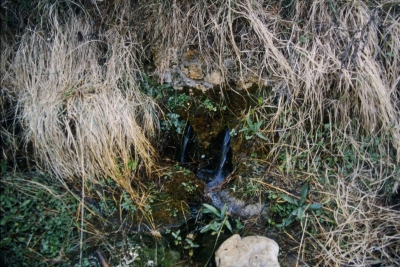 Fuente los Flautines - imagen 3