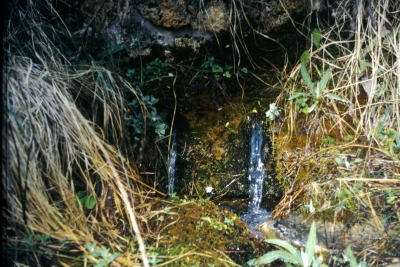 Fuente los Flautines - imagen 4