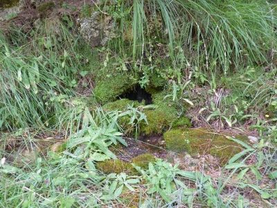 Fuente los Flautines - imagen 5