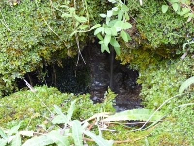 Fuente los Flautines - imagen 6