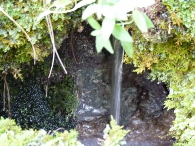 Fuente los Flautines - imagen 7