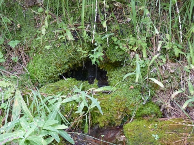 Fuente los Flautines - imagen 8