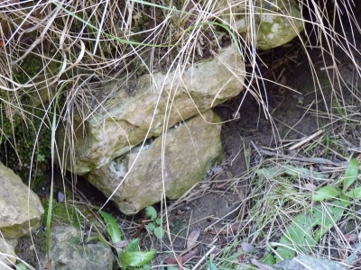 Fuente Gapitillo - imagen 2