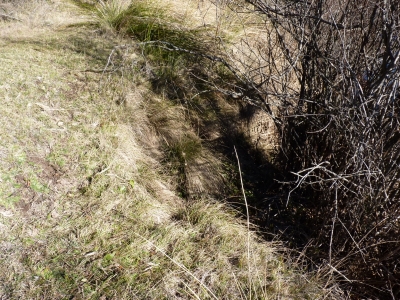 Fuente Gapitillo - imagen 5