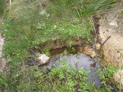 Fuente de la Hoz de San Miguel - imagen 1