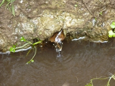 Fuente de la Hoz de San Miguel - imagen 2