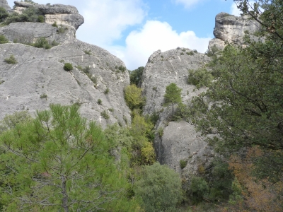 Fuente de la Hoz de San Miguel - imagen 4