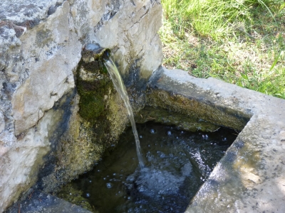 Fuente la Huesa - imagen 3