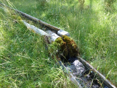 Fuente la Huesa - imagen 7
