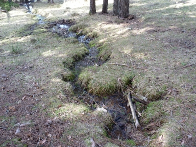 Fuente Jábaga II - imagen 3
