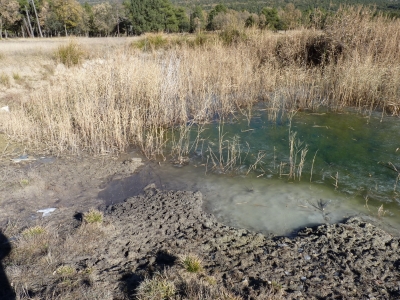 Fuente de Juan Lengua I - imagen 2