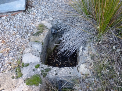 Fuente de Juan Lengua I - imagen 6