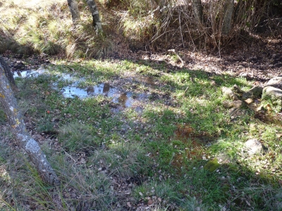 Fuente de Juan Lengua II - imagen 1