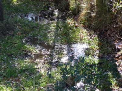 Fuente de Juan Lengua II - imagen 3