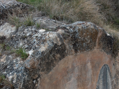 Larga - imagen 4