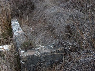Larga - imagen 5