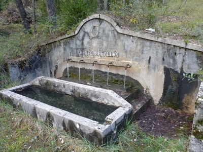 Fuente Magallón - imagen 2