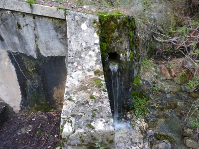 Fuente Magallón - imagen 8