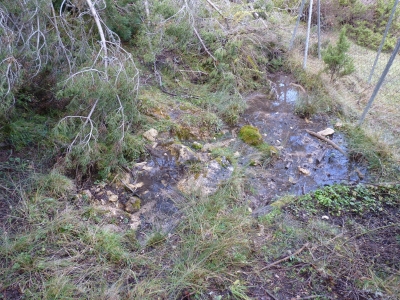 Manantial de la Sierra del Agua II - imagen 1